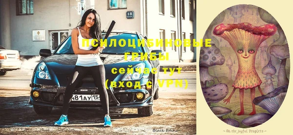 а пвп мука Аркадак