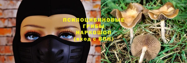 mix Нея